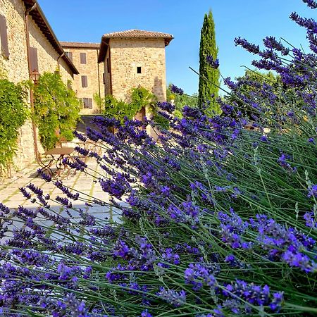 Castello Di Viano Villa Bagian luar foto