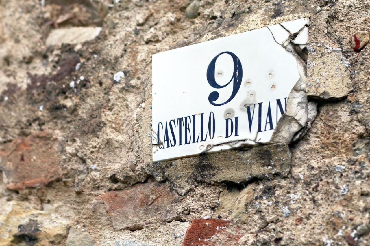 Castello Di Viano Villa Bagian luar foto