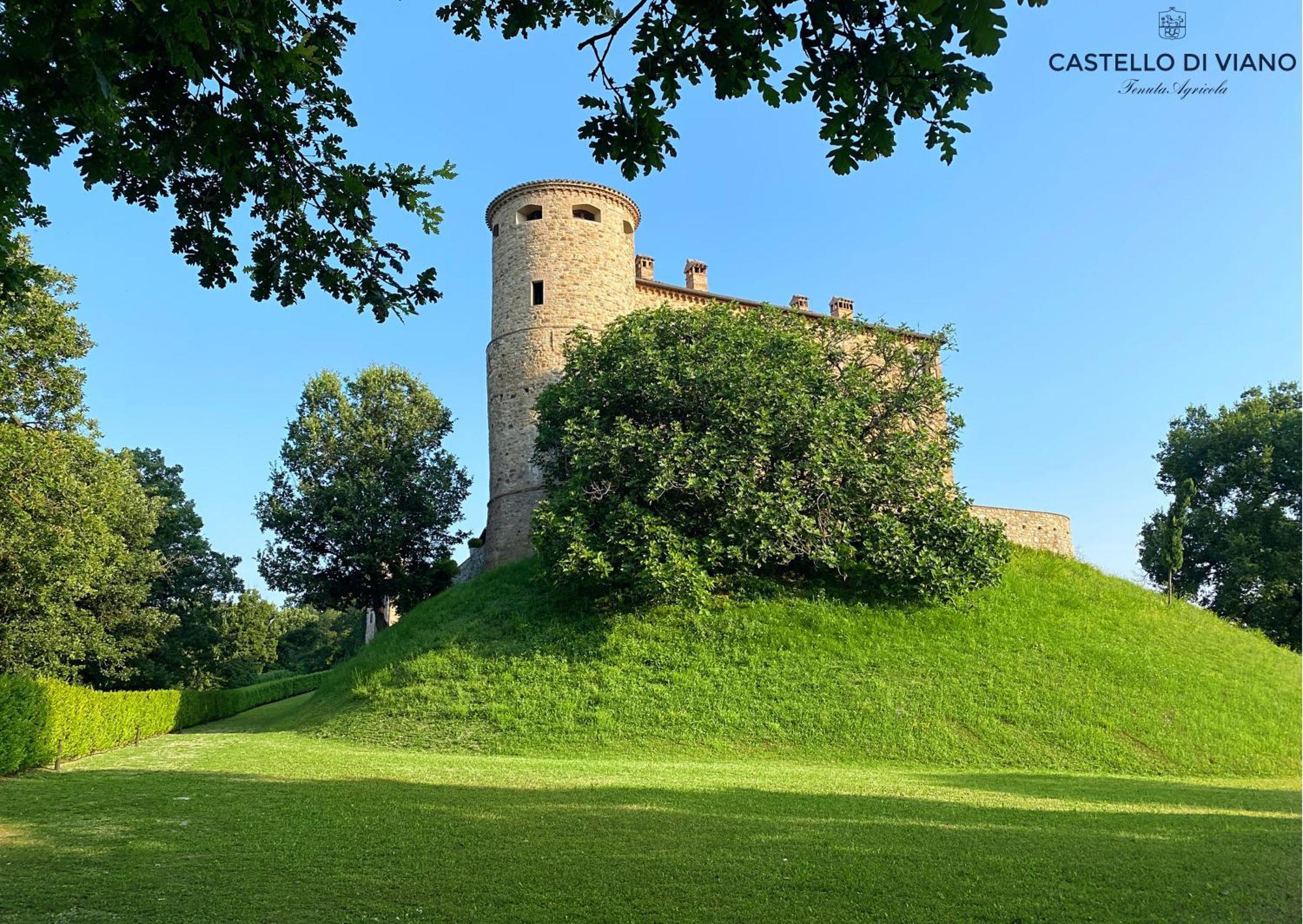 Castello Di Viano Villa Bagian luar foto