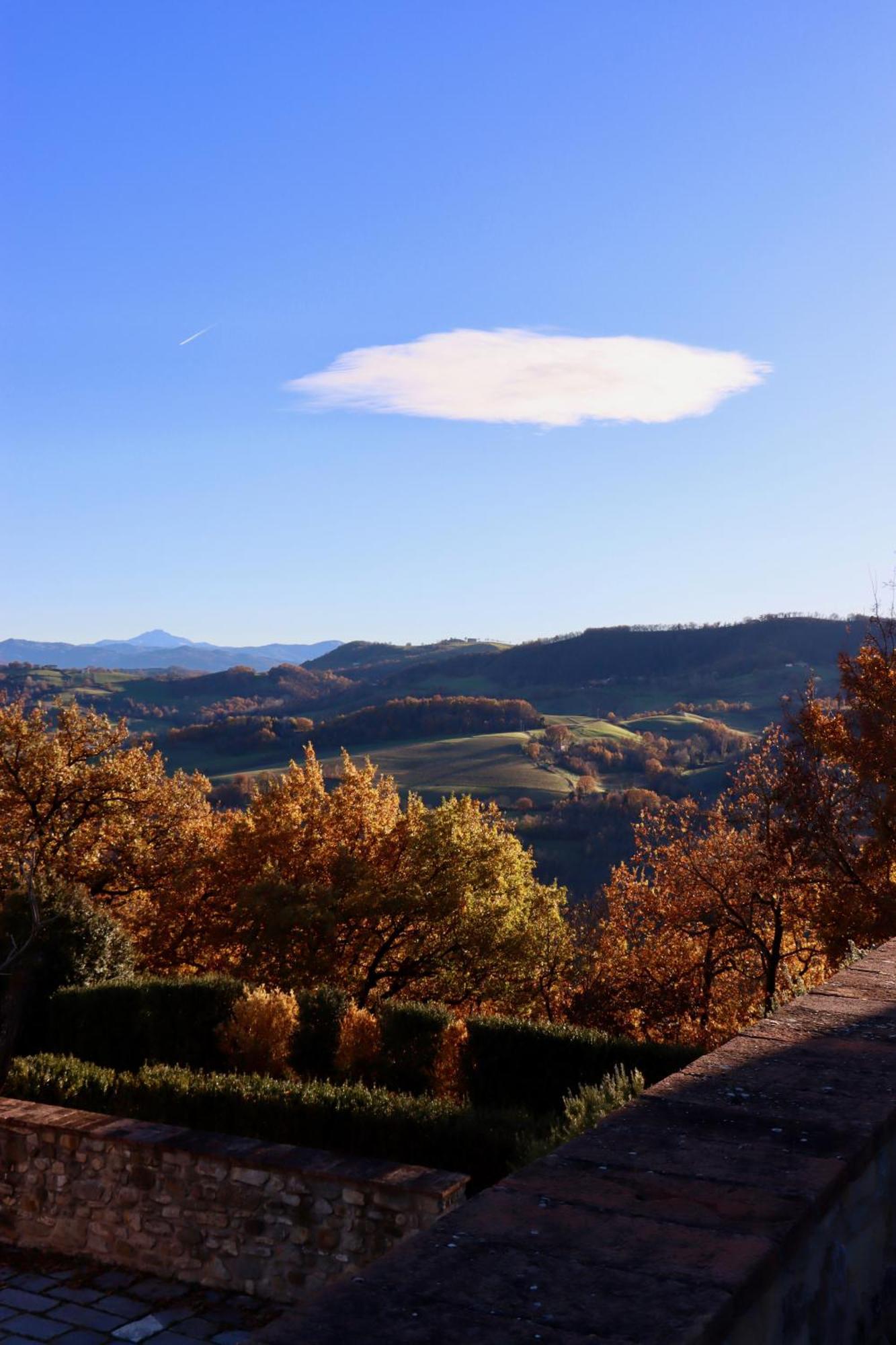 Castello Di Viano Villa Bagian luar foto