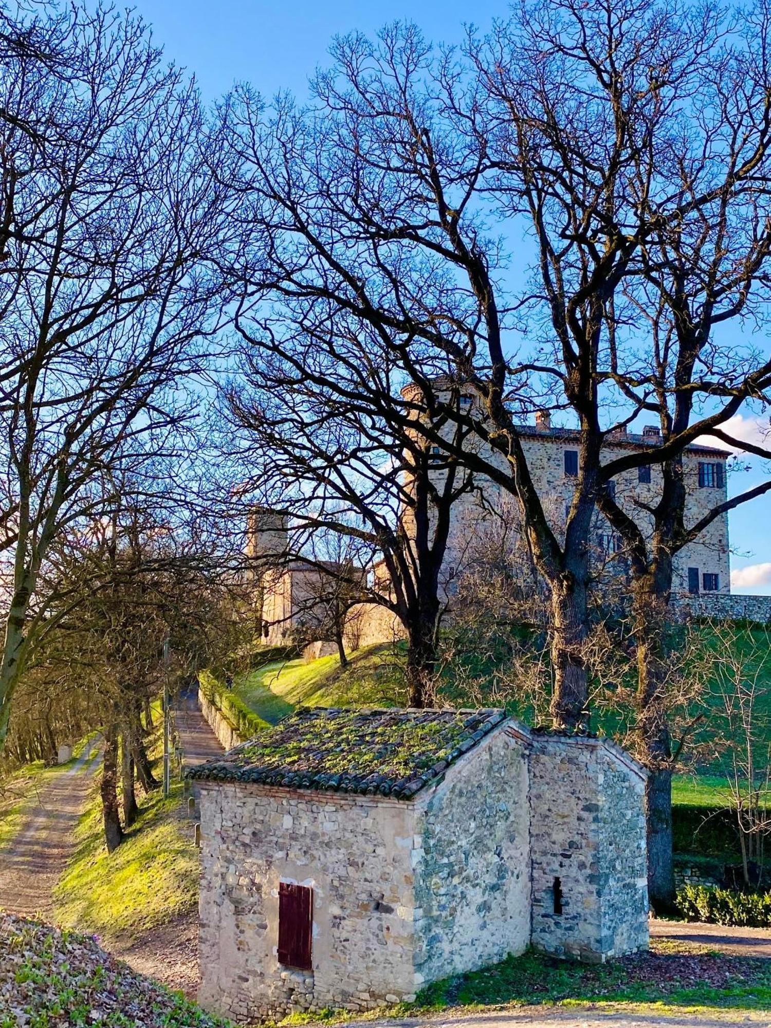 Castello Di Viano Villa Bagian luar foto