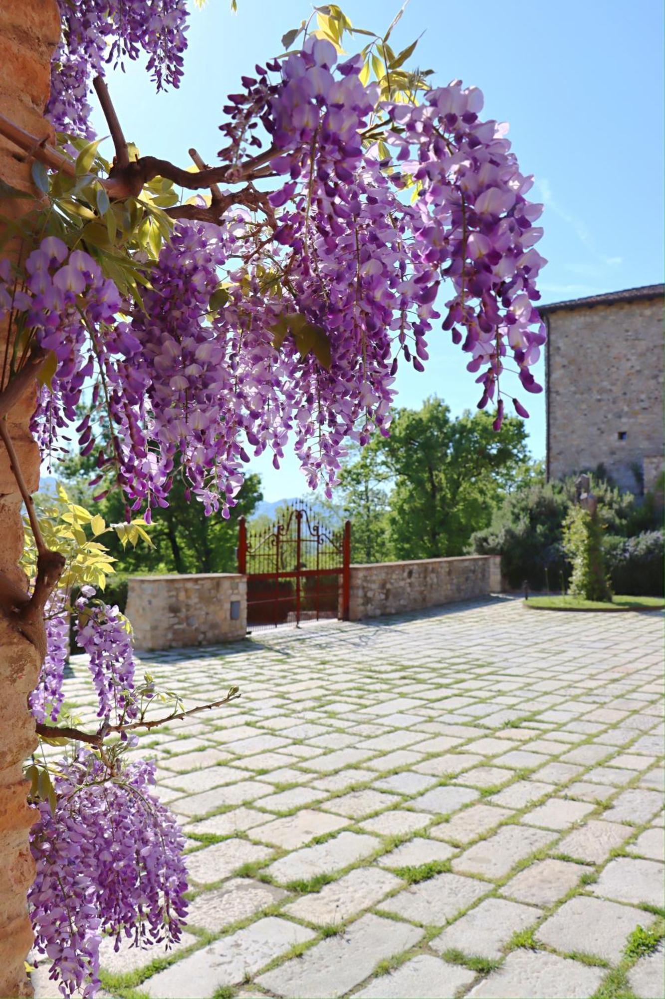 Castello Di Viano Villa Bagian luar foto